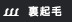 裏起毛