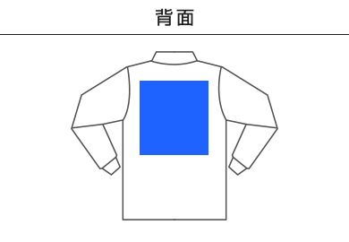 5.8オンスT／C長袖ポロシャツ（ポケット付）（00169-VLP）F：背面