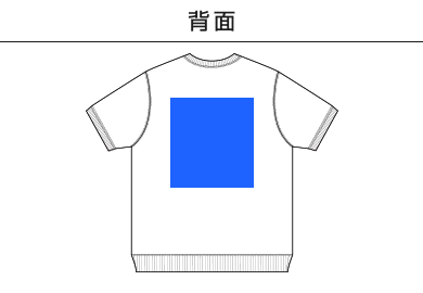 8.2オンス ショートスリーブ スウェット（裏パイル）（5198-01）D：背面