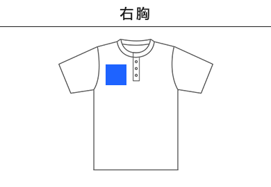 【在庫限り】5.6オンス ヘビーウェイトヘンリーネックＴシャツ（00104-CHN）B：前面　右