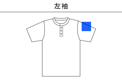 【在庫限り】5.6オンス ヘビーウェイトヘンリーネックＴシャツ（00104-CHN）C：左袖