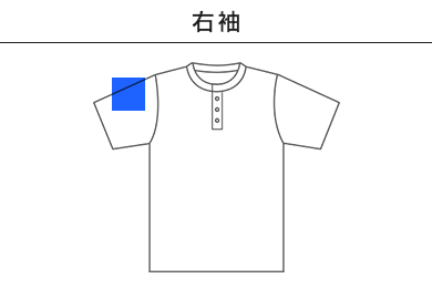 【在庫限り】5.6オンス ヘビーウェイトヘンリーネックＴシャツ（00104-CHN）D：右袖