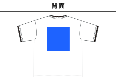 4.1オンス ドライアスレチック ルーズフィット ラインリブ Tシャツ（5927-01）D：背面