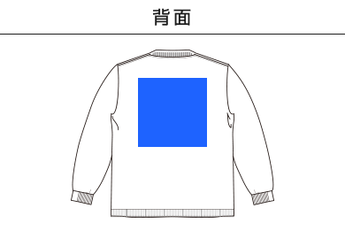 6.5オンスピグメントダイロングスリーブ（MS1171）D：背面