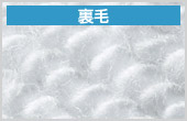 裏毛