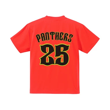 013デザイン:Tシャツ使用時