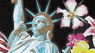 デジタル転写例