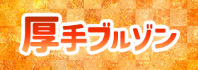 厚手ブルゾン