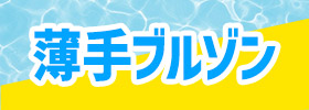 薄手ブルゾン